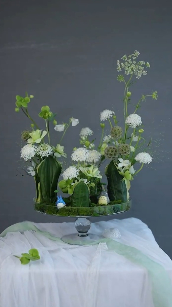 玉簪叶翠珠龙猫盘插花