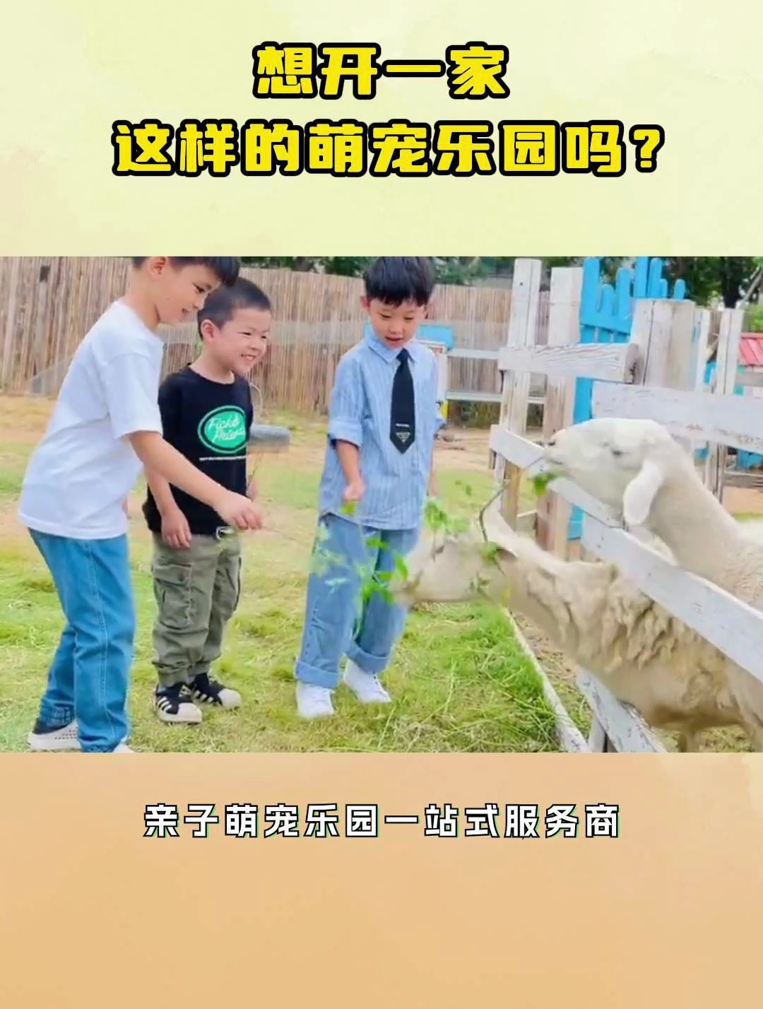 想开一家这样的萌宠乐园吗?