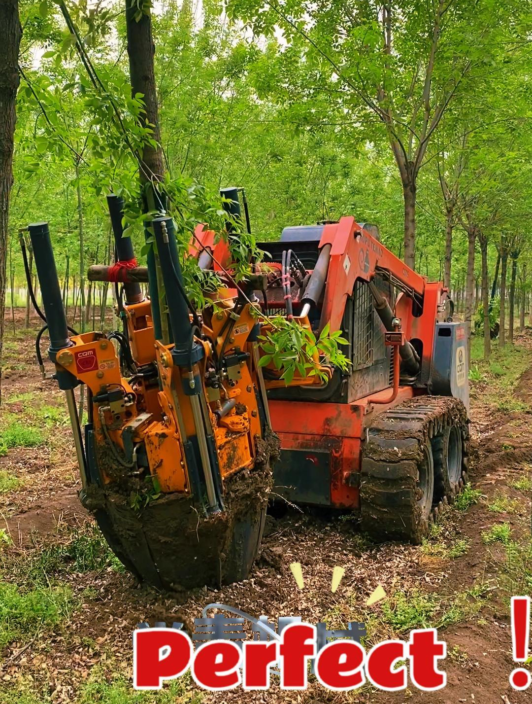 有了这挖树机,拔树像拔草!-度小视