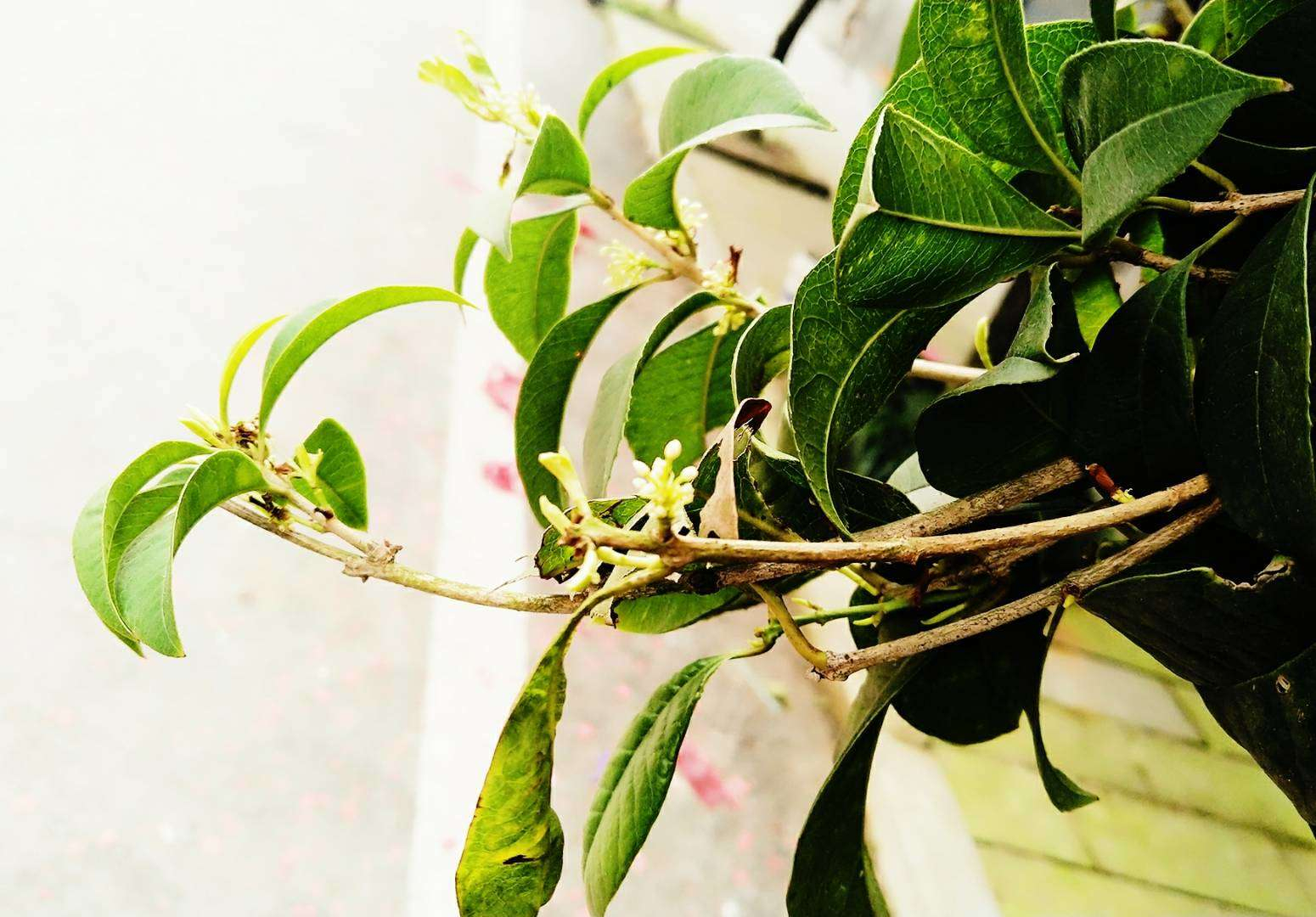 辛丑年乙未月,流月天克地冲,不利西南