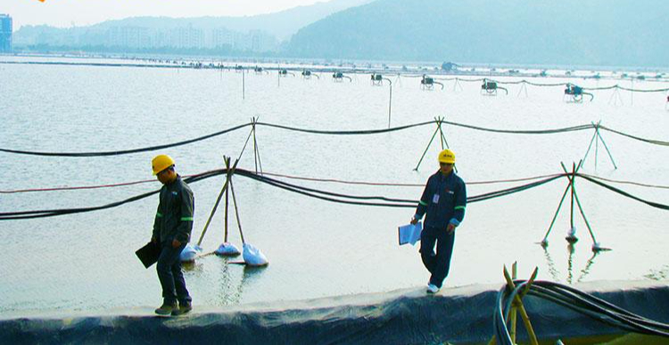 真空預壓法地基處理施工工藝詳解