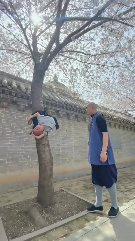 少林寺的小和尚为了练功是真拼当父母的怎么忍心的