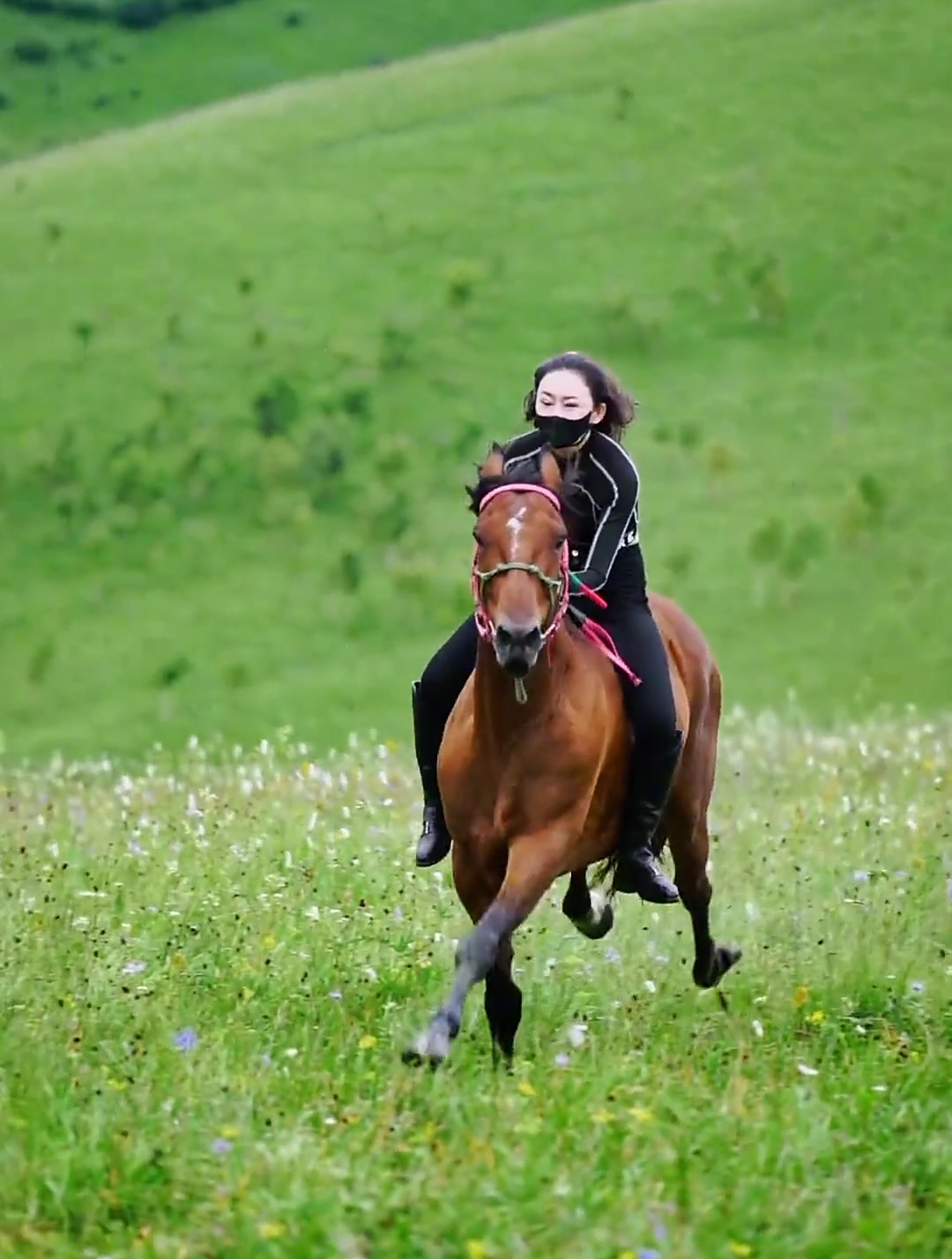 在这大草原骑马很享受知道吗
