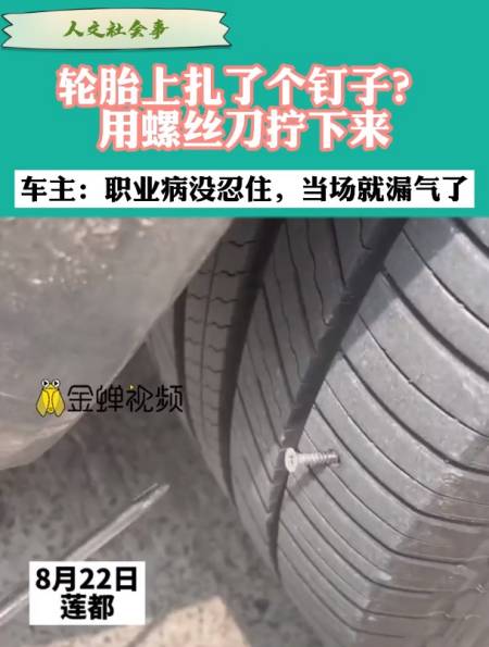 轮胎上扎了个钉子用螺丝刀拧下来车主是有点职业病在身上的了