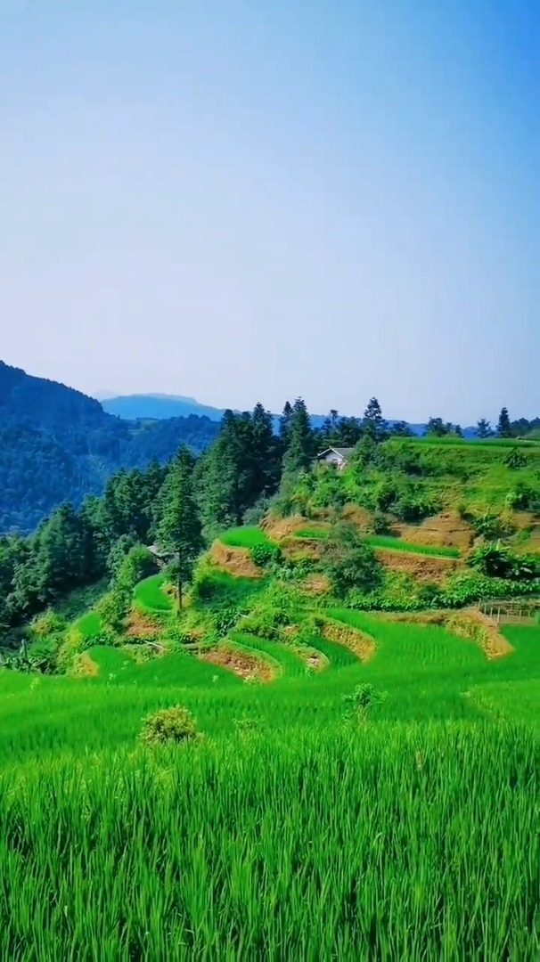 治愈风景欣赏:能自由地做自己想做的事,这是大多数