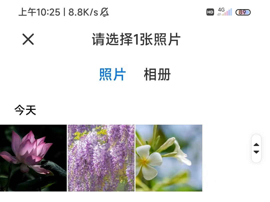 识花草君拍照识别花图片