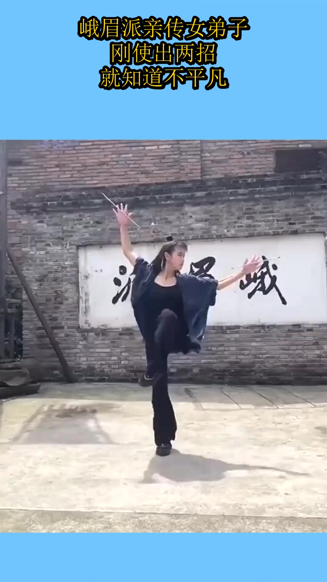 峨眉派亲传女弟子,刚使出两招,就知道不平凡!