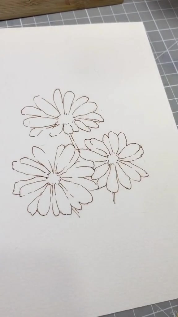 雏菊的画法简笔画图片