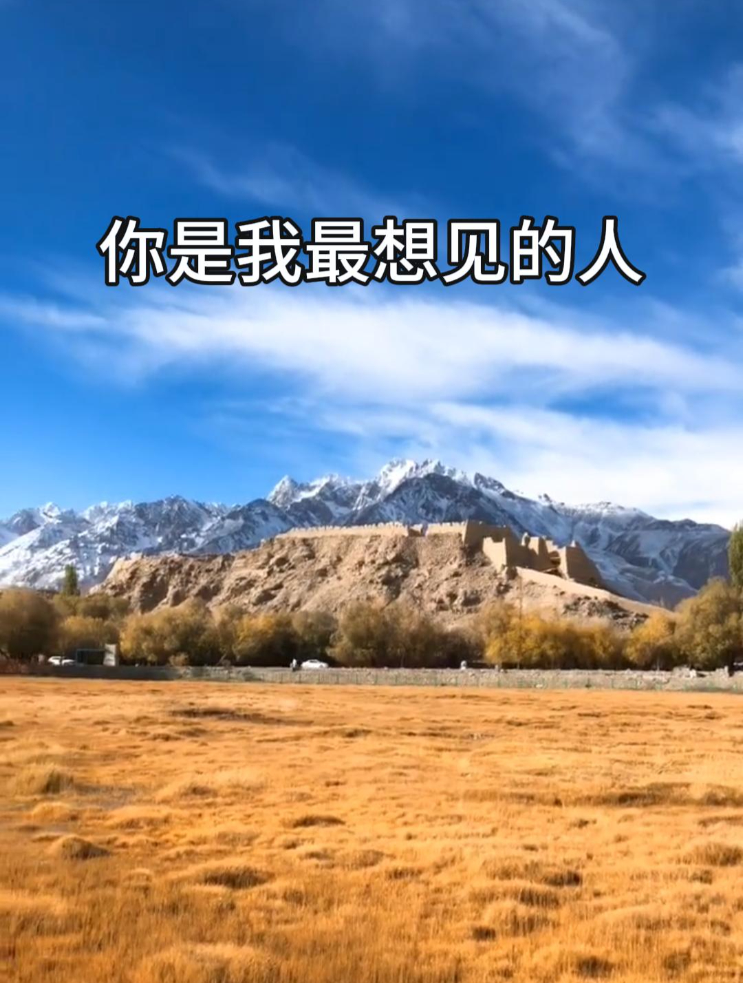 你是我最想见的人