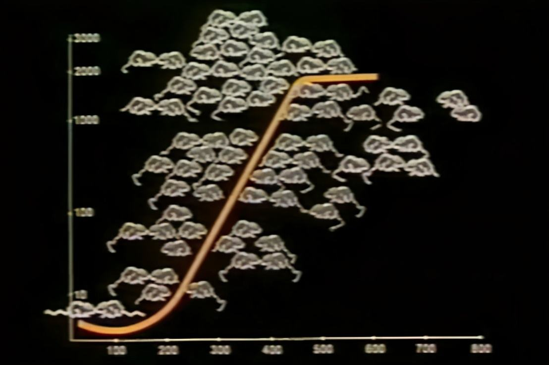 恐怖的25号宇宙实验:从一群老鼠身上出发,折射出了人类文明!