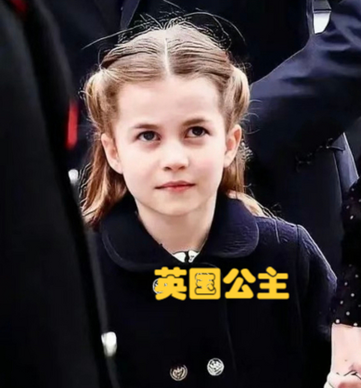 欣赏各国王室公主的美丽,你心目中最美的是谁?