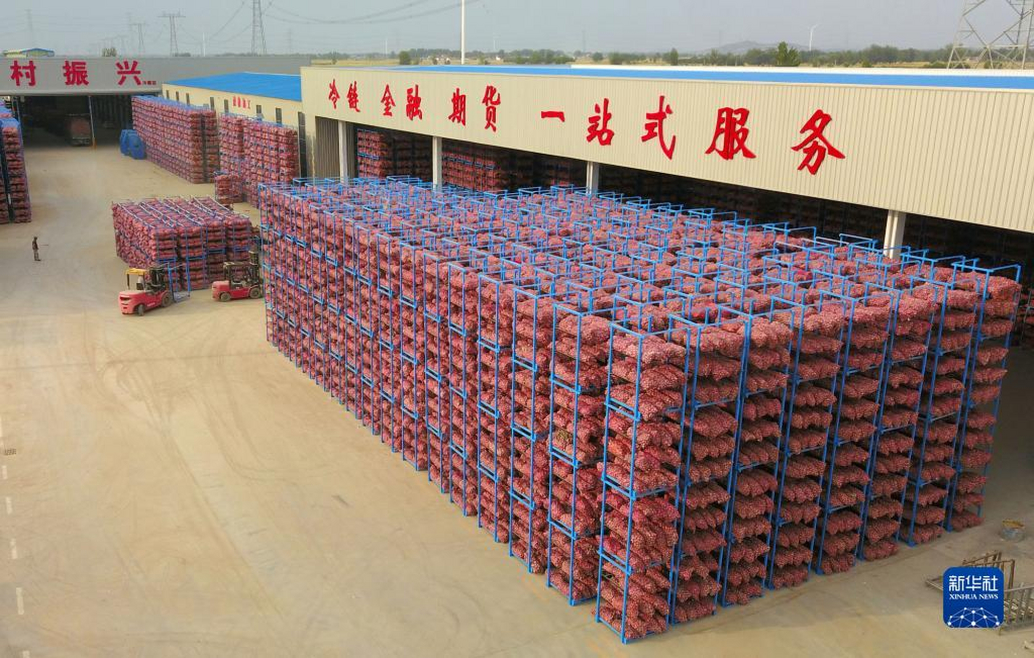 保鲜冷库贮藏大蒜主要是利用冷库的低温和相对湿度,控制大蒜水分的