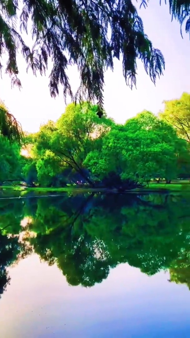 治愈系风景欣赏:你是否闻到了春天的气息手机摄影