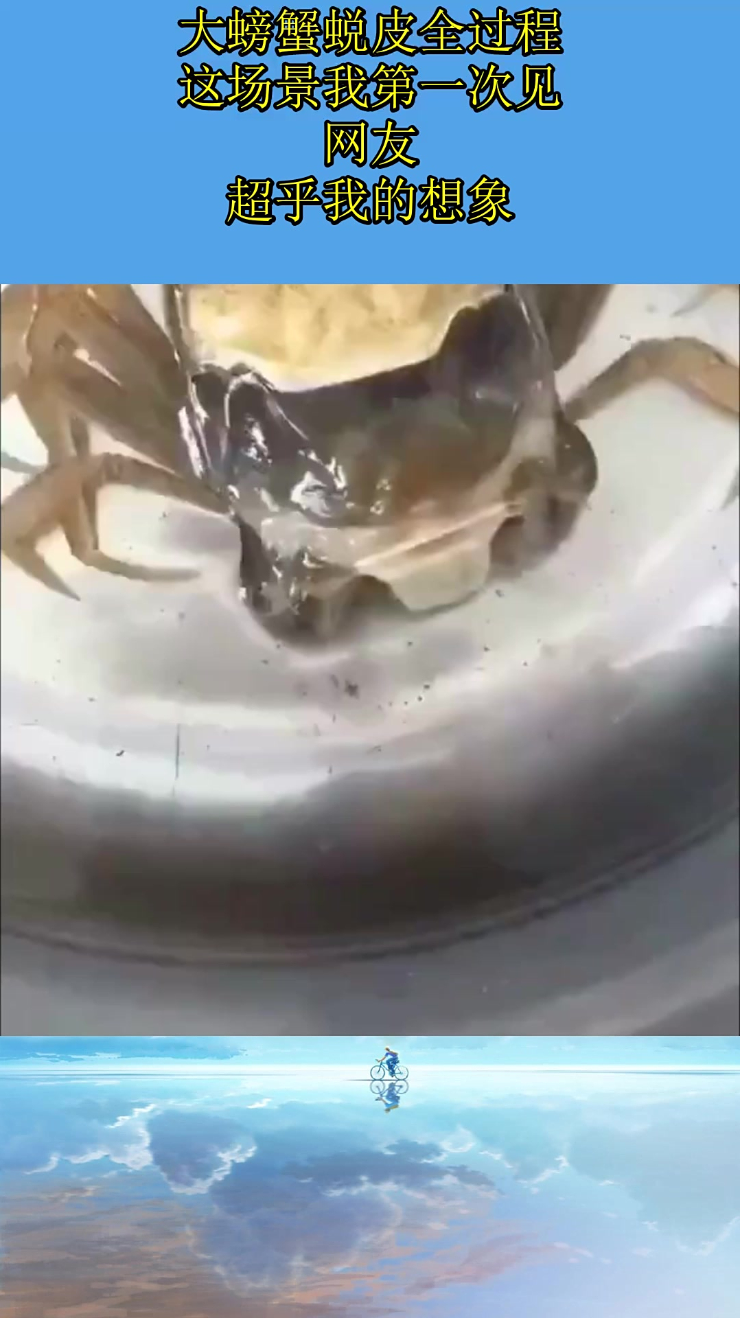 大螃蟹蜕皮全过程,这场景我第一次见,网友:超乎我的想象!