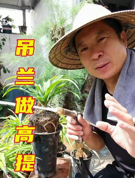 37万暴走的小药:当千万游戏博主被曝是代打,惨遭昔日粉丝人人喊打!32.