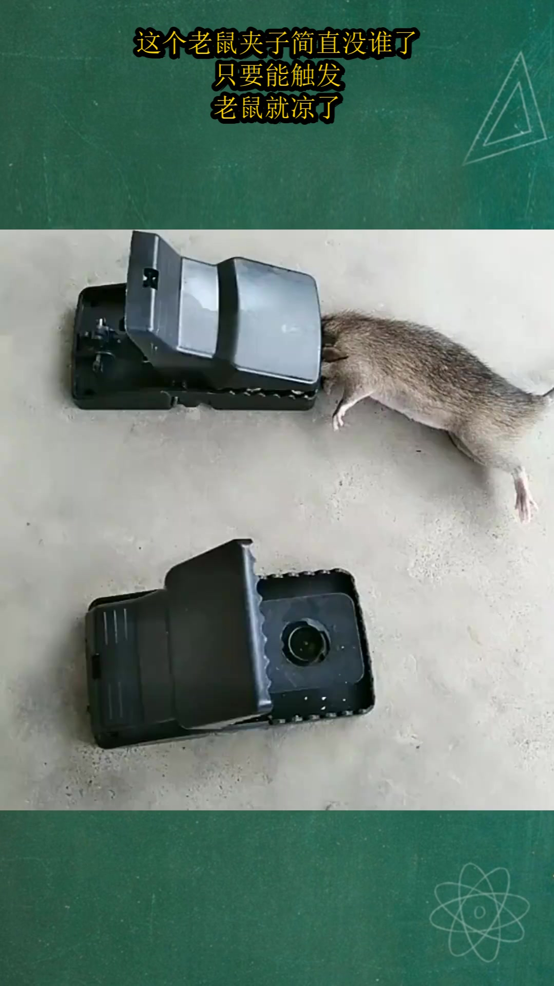 这个老鼠夹子简直没谁了,只要能触发,老鼠就凉了!