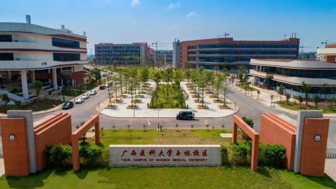 广西医科大学专科在哪个校区?
