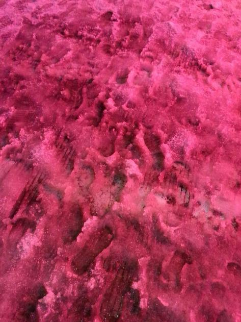 红雪之谜:解开红雪的背后之秘