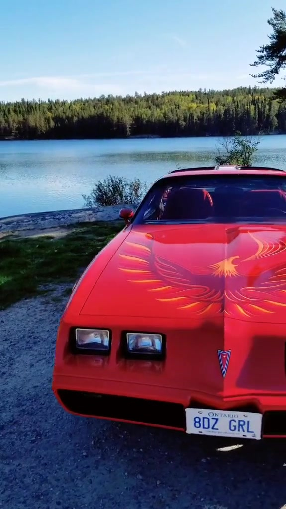 庞蒂亚克火鸟科迈罗克尔维特肌肉车老爷车