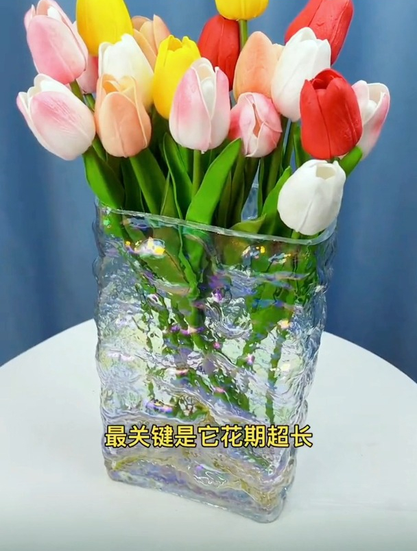 水培郁金香,别忘记这个"环节,做得好,才能开出鲜艳的花朵