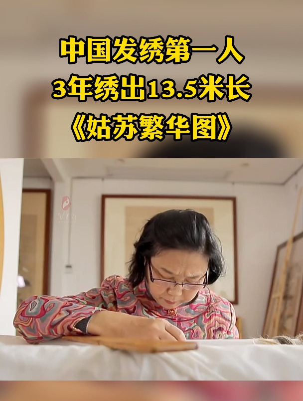 她被誉为"中国发绣第一人",3年绣出13.5米长的《姑苏繁华图》-度小视