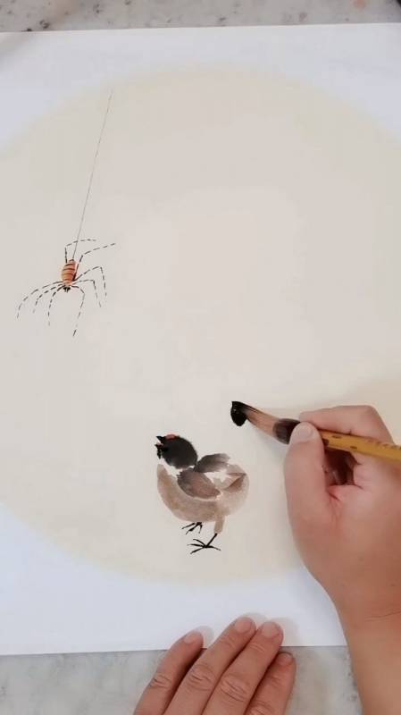 大蜘蛛,中国画花鸟,国画,写意花鸟画