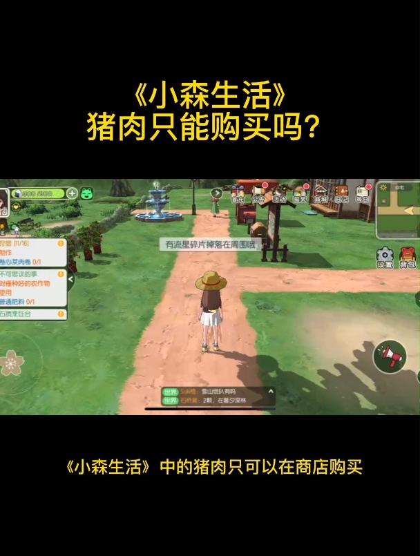 小森生活猪肉只能购买吗