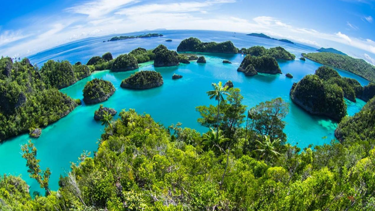 印度尼西亚第二大岛屿,也是亚洲第一大岛,被誉为金丝燕王国