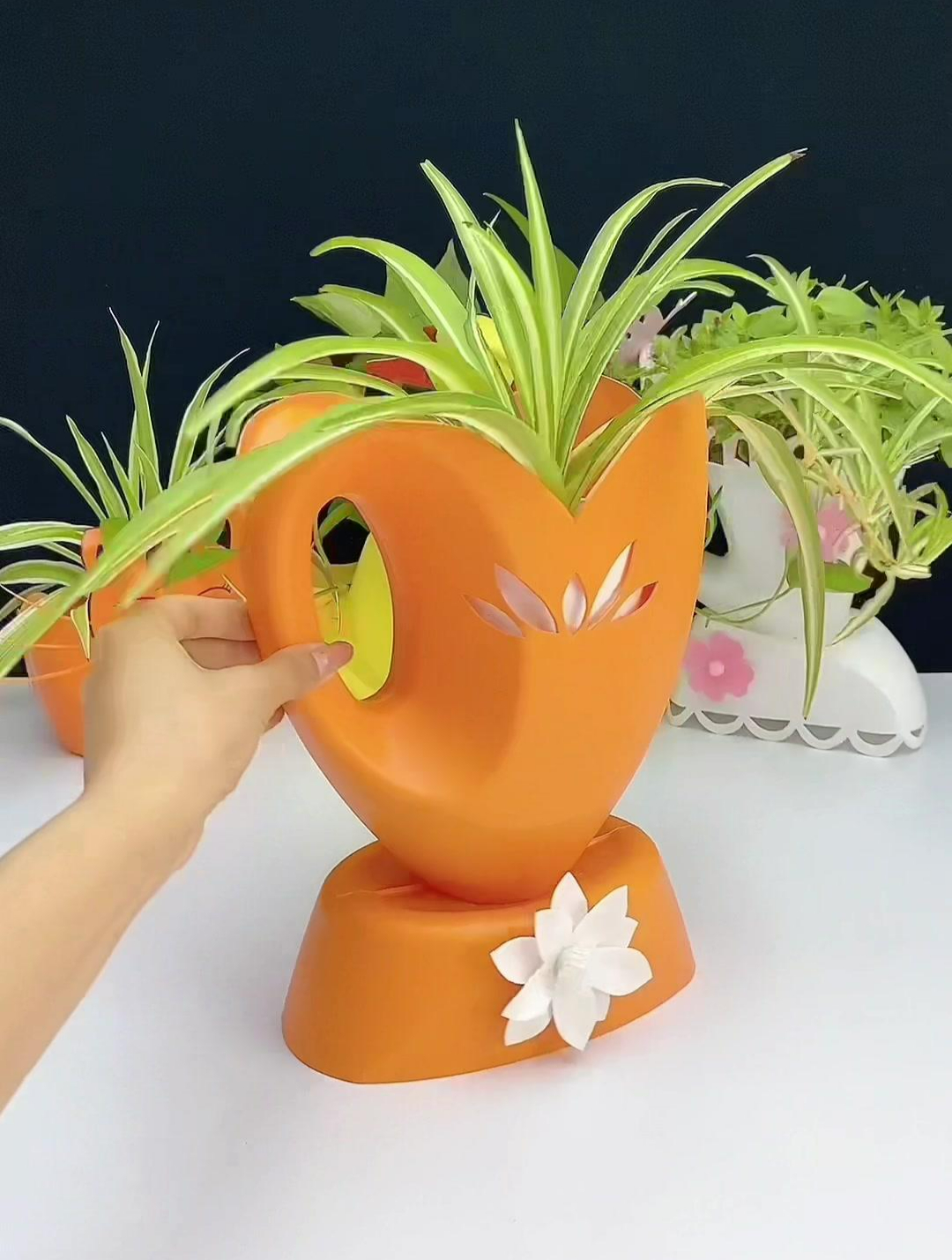 用完的洗衣液瓶子不要扔了,做款简单又好看的倒立花盆吧-度小视