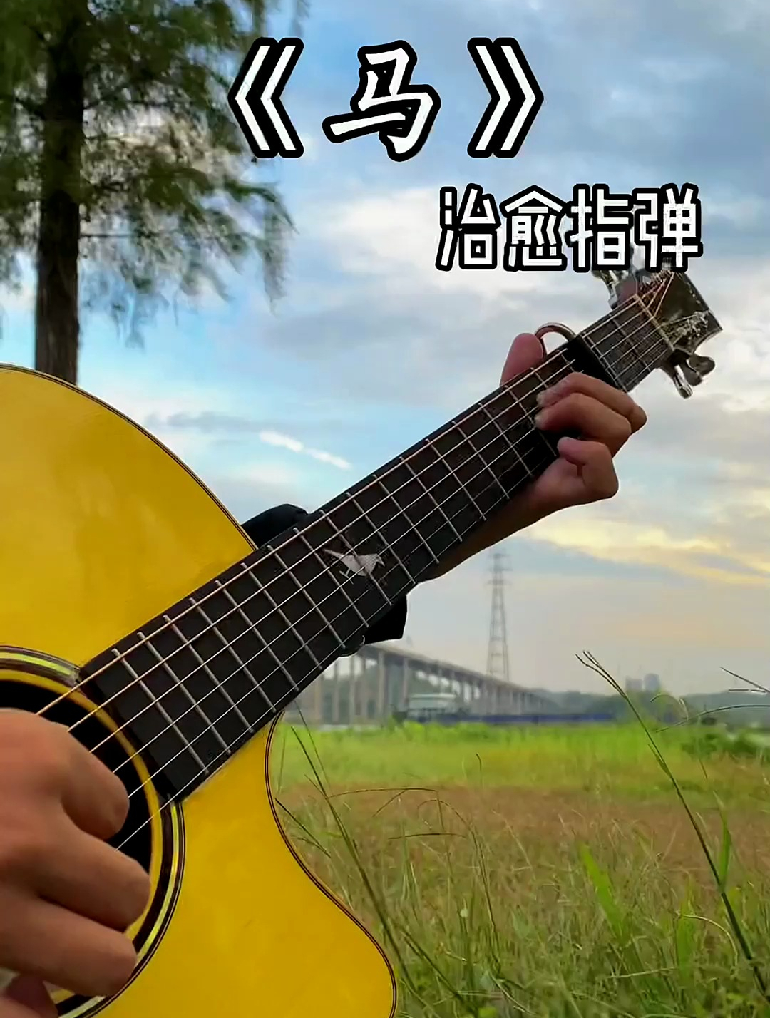 《马》福禄寿 治愈系音乐 吉他 指弹 零基础学吉他