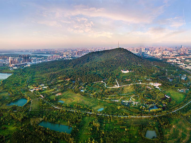 合肥大蜀山风景区图片