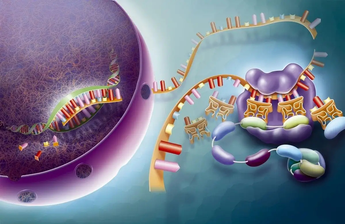 科学家认为,生化反应在不同的空间范围内,不会被随机运动破坏