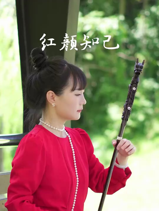 二胡演奏《红颜知己》