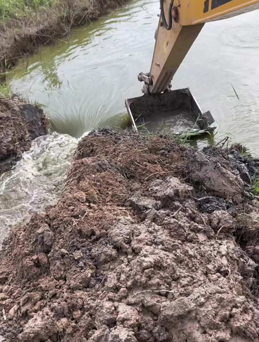 这是谁家的鱼塘这下遭殃了,挖机师傅要赔哭