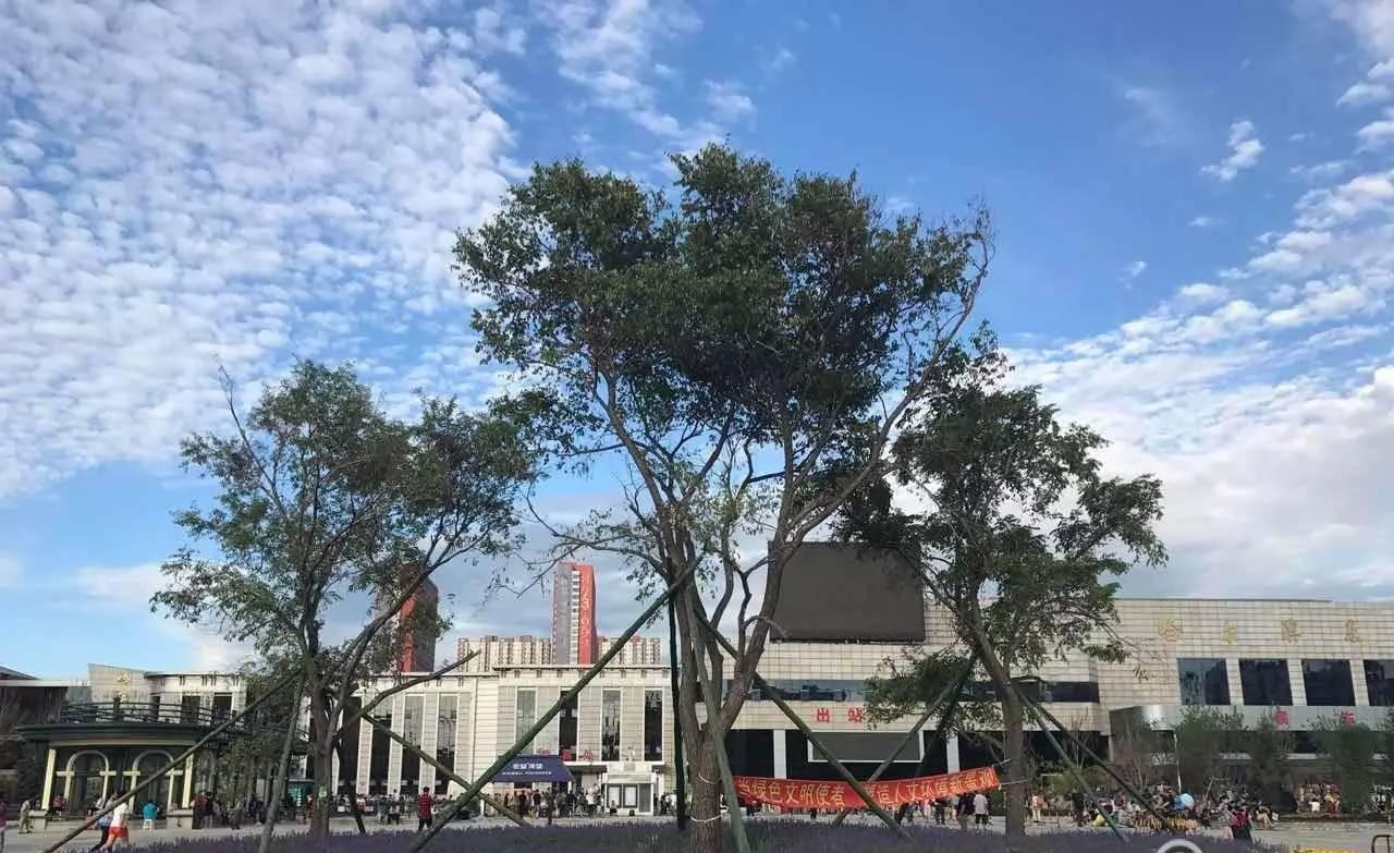 1988年,拉滨线背荫河站列车正面冲突事故,造成19人死亡25人重伤