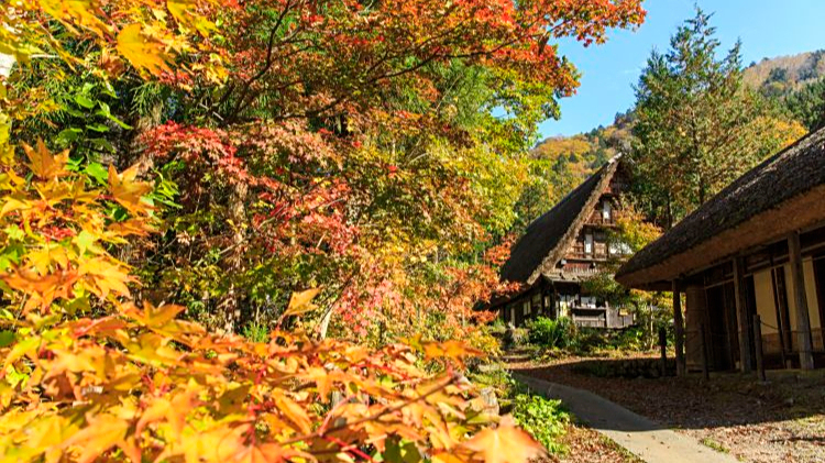 日本奥飞驒&上高地旅游攻略