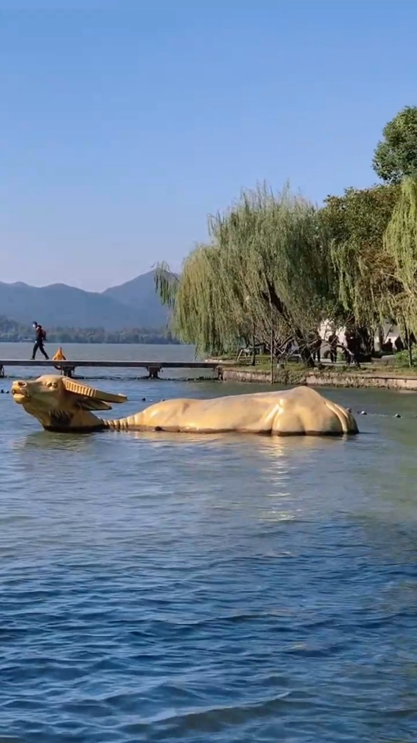 风景治愈系:西湖美景如画西湖涌金门金牛报春,好运