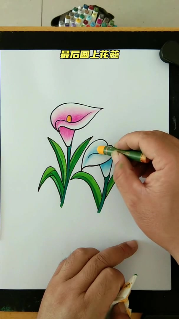 简单画马蹄莲零基础学画画