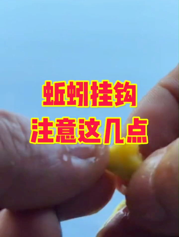 蚯蚓挂钩,一定要注意这几点!