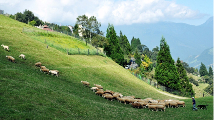 解暑新去处:安吉云上草原,好看又好玩