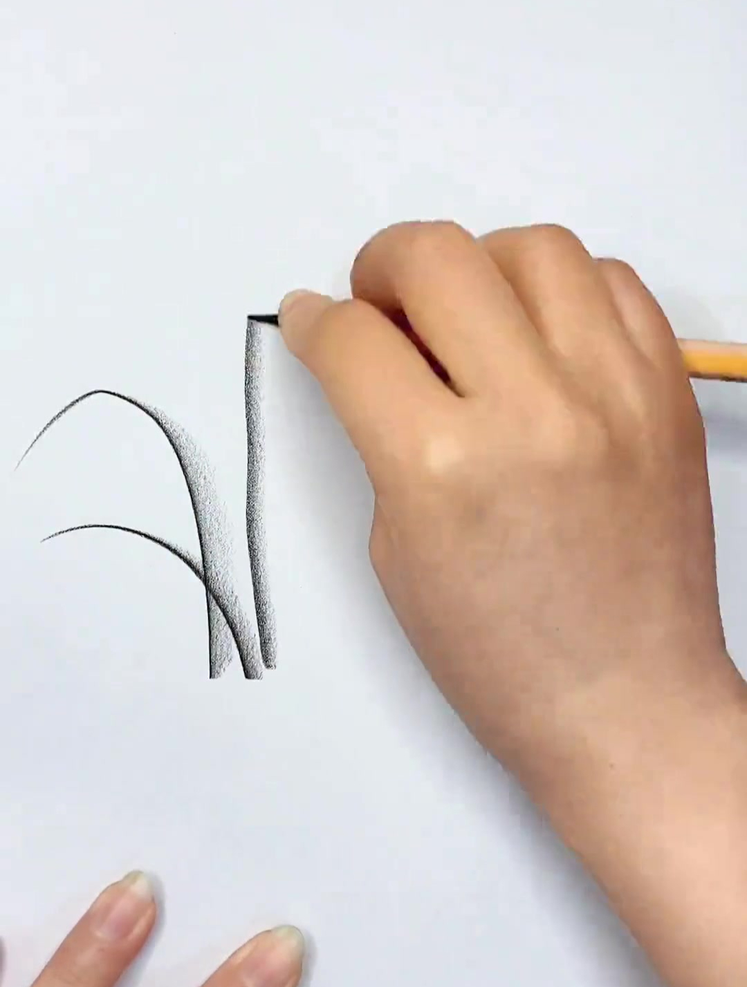 简单画兰花 一起学画画 简单易学