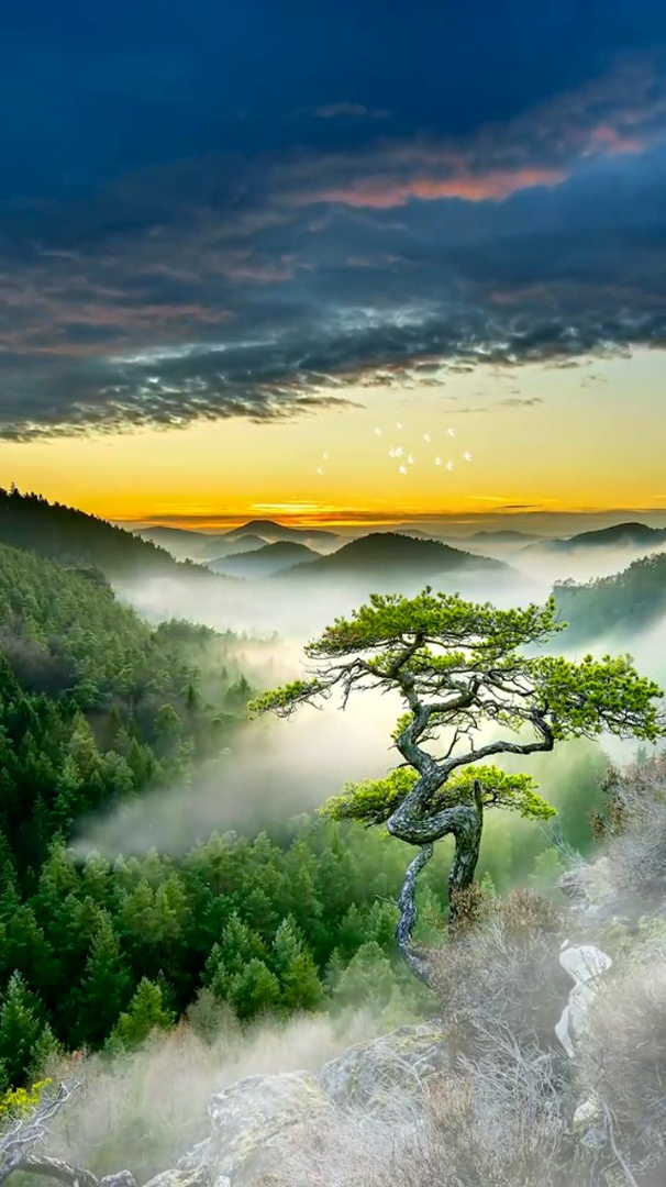 风景治愈:你若懂我,我一人何苦站在这里!风景