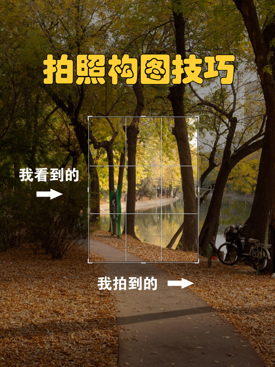 三分法,黄金分割拍照构图技巧 拍照构图技巧是让照片从众多作品中脱颖