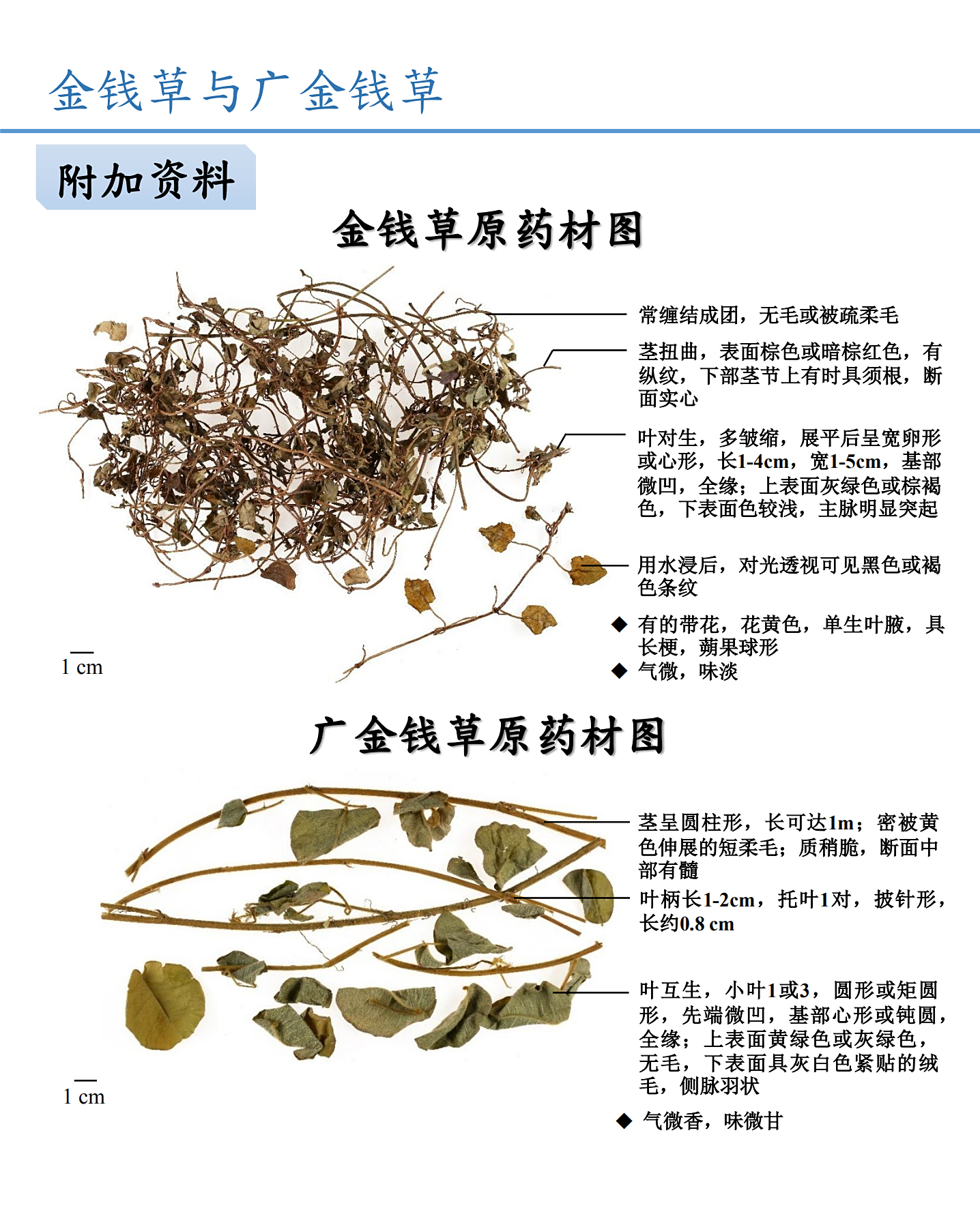 金钱草与广金钱草鉴别