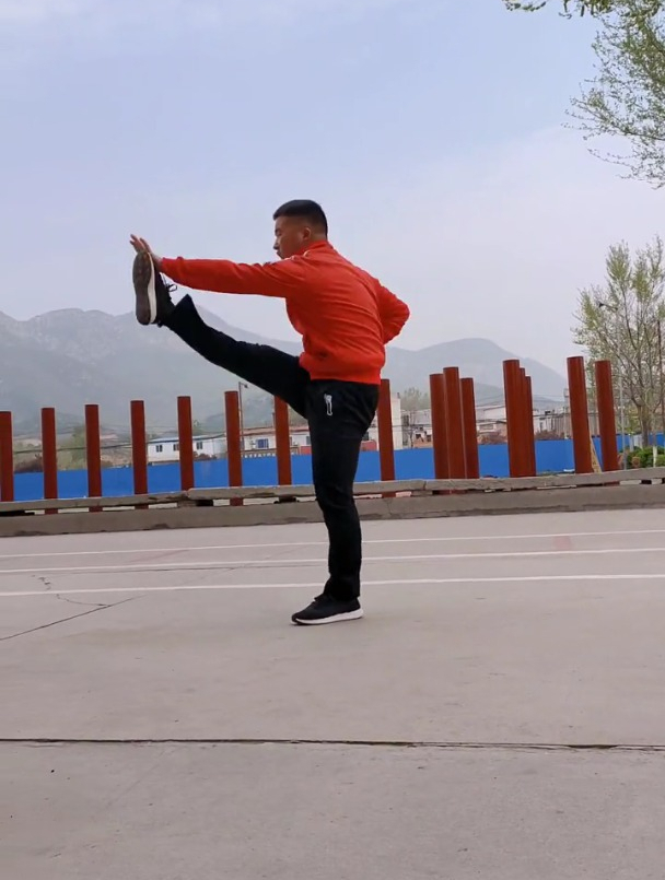 大洪拳中国古老传统拳法刚柔并济