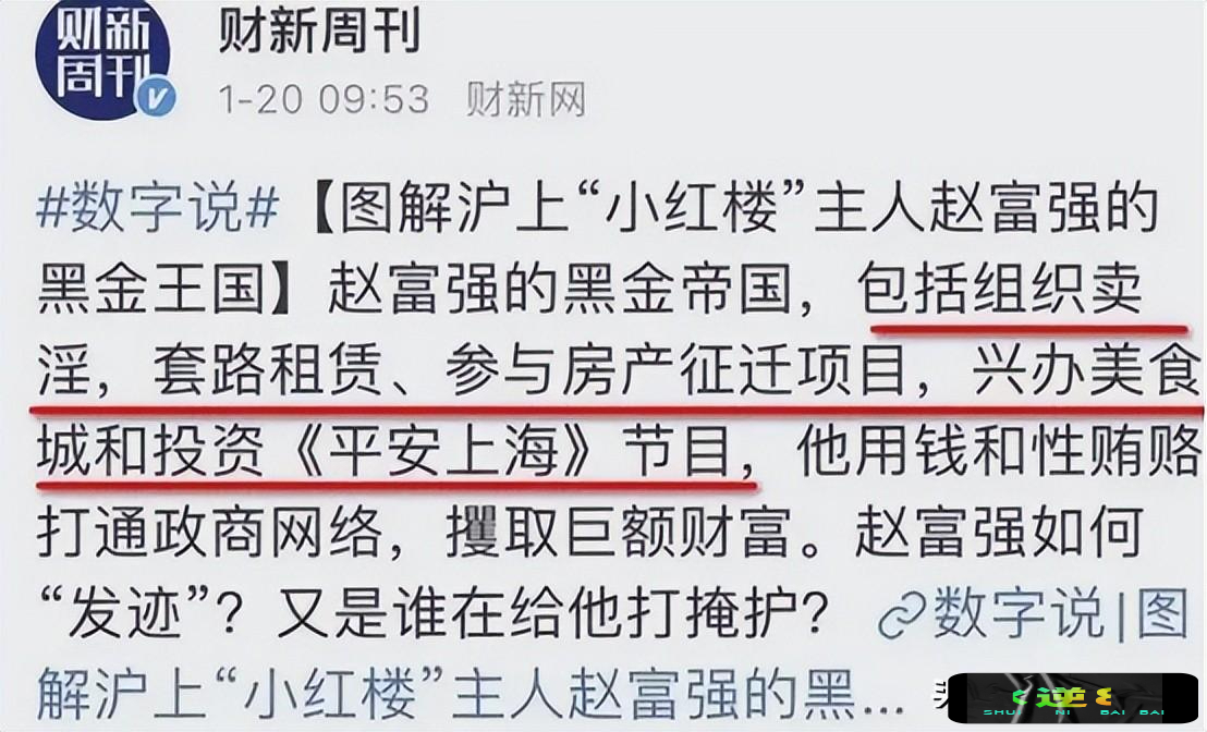 2019年,上海"小红楼"覆灭,隐藏20年的淫窟,主谋身份让人意外