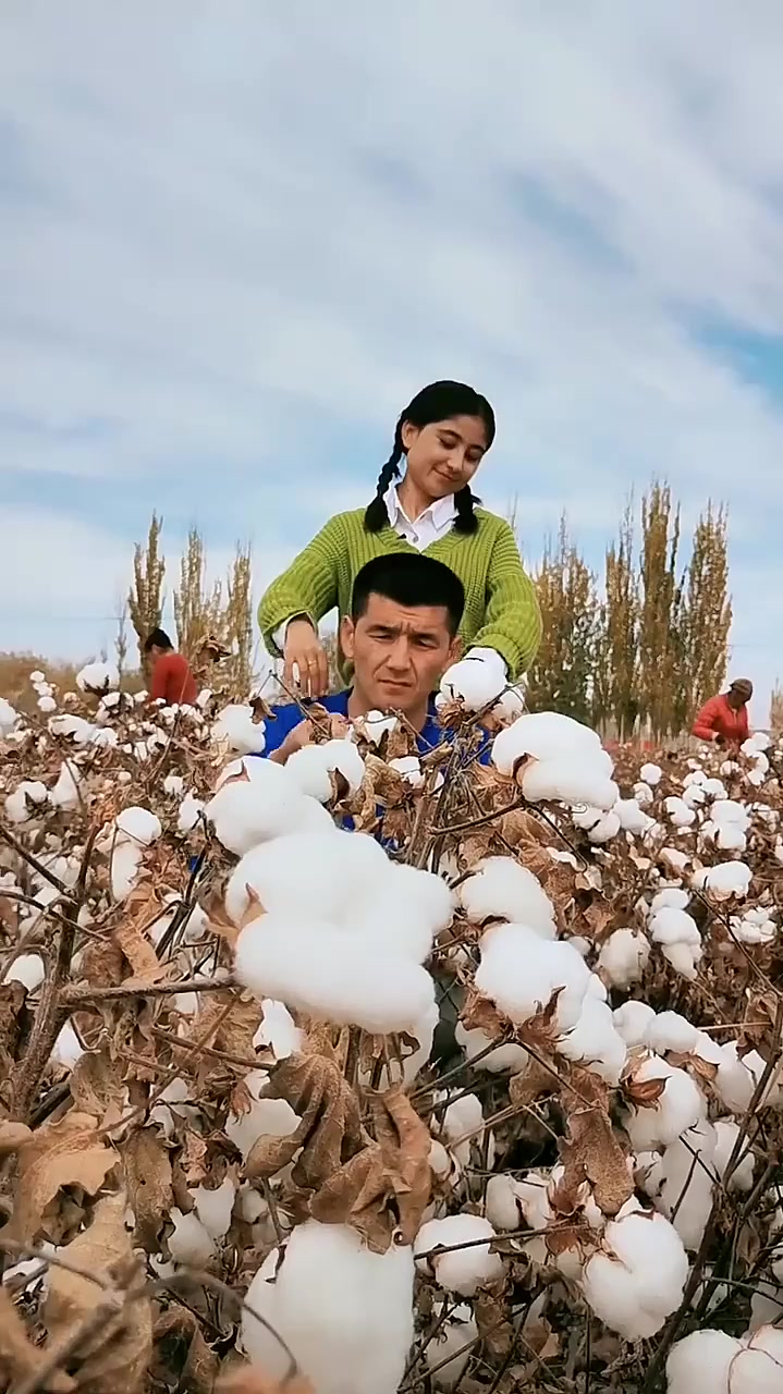 这才是新疆人,摘棉花的心情,这种快乐有的人永远不会懂