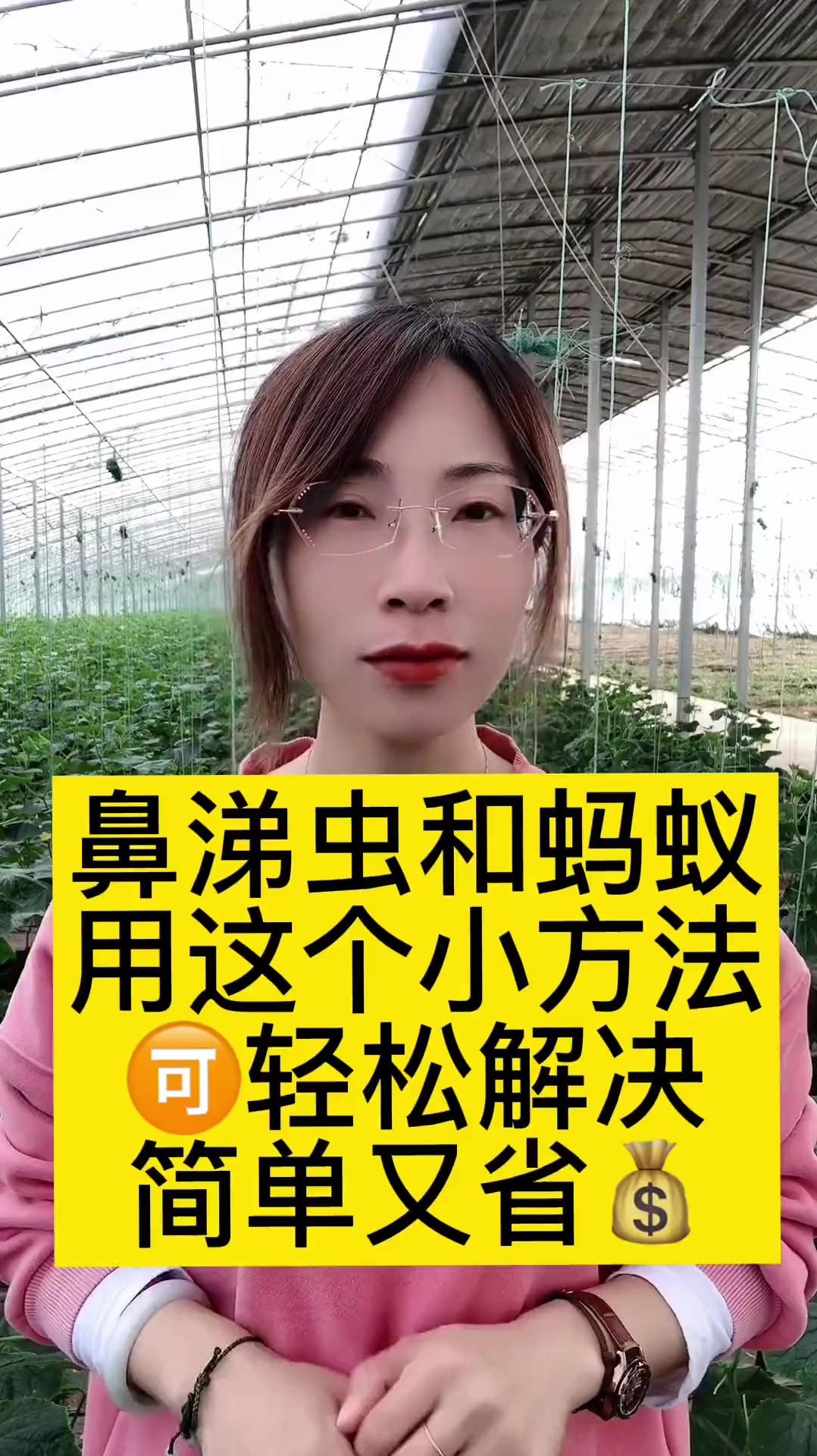 除鼻涕蟲和螞蟻的小妙招,趕緊去試試吧