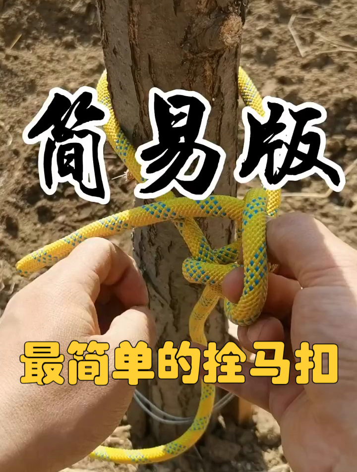 绳结技巧:最简单的拴马扣,你学会了吗?