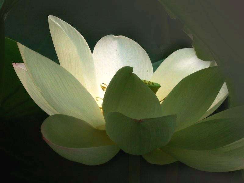 你是否需要一个真正意义上的"静"?